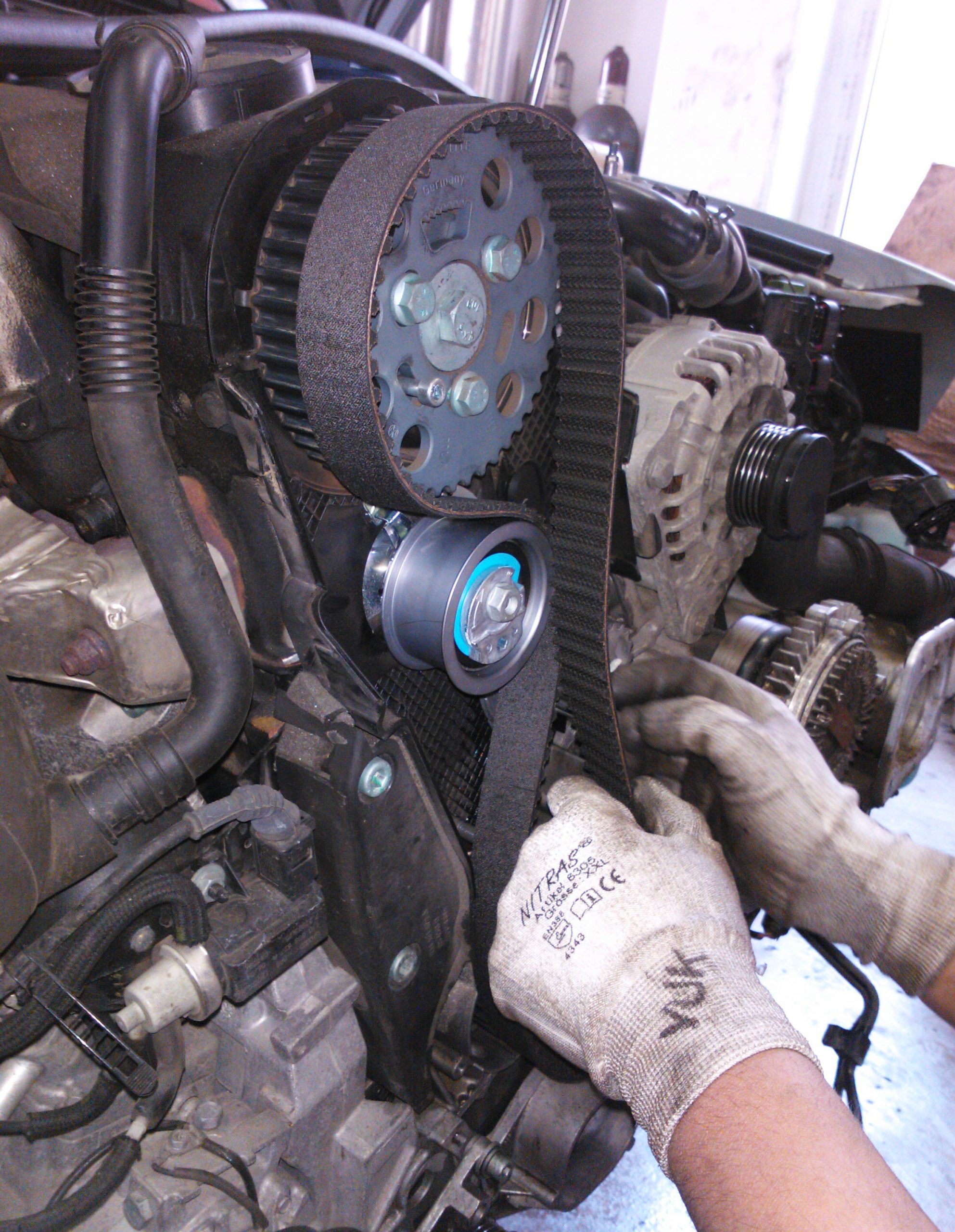 When Should You Replace the Timing Belt of Your Vehicle
